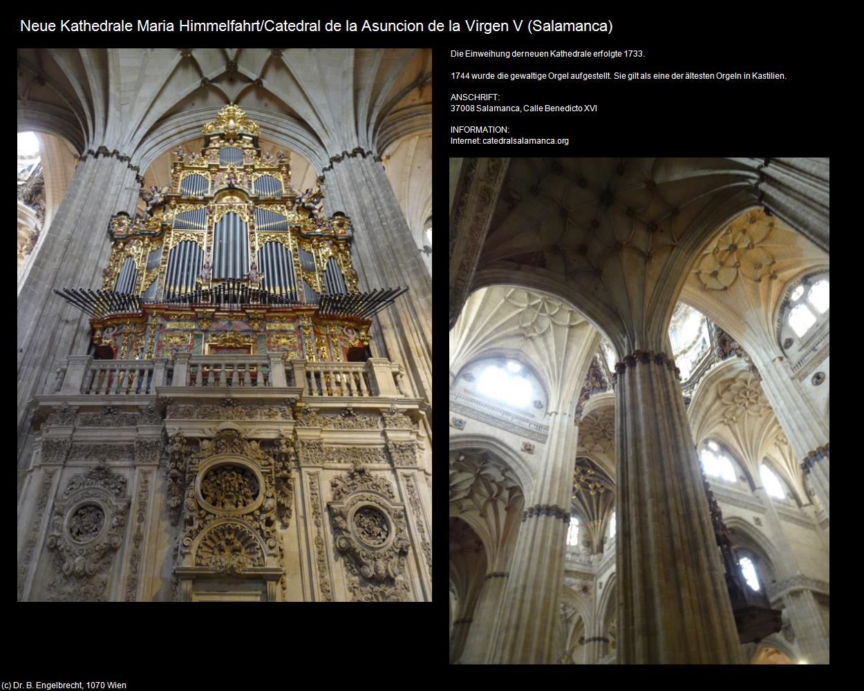 Neue Kathedrale Maria Himmelfahrt V (Salamanca (ESP-CL)) in Kulturatlas-SPANIEN-MITTE