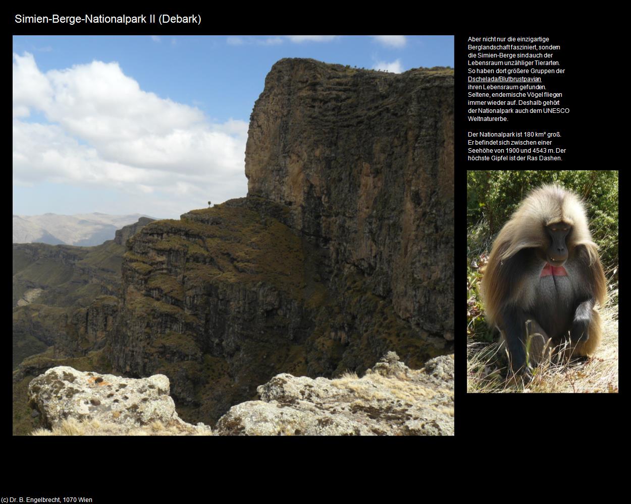 Simien-Berge-Nationalpark II (Debark) in Äthiopien(c)B.Engelbrecht