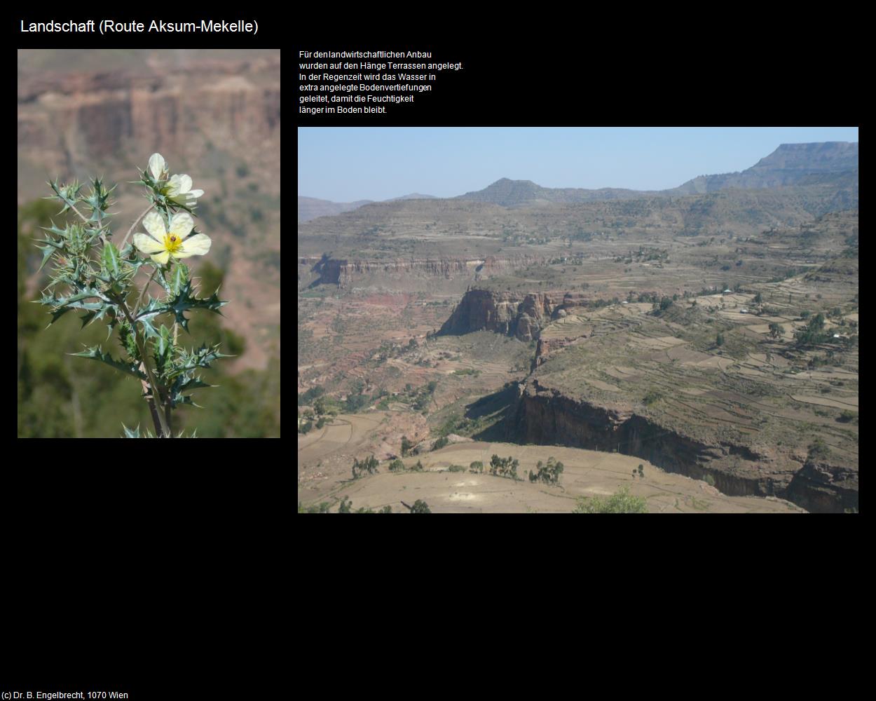 Landschaft (Route Aksum-Mekelle) in Äthiopien