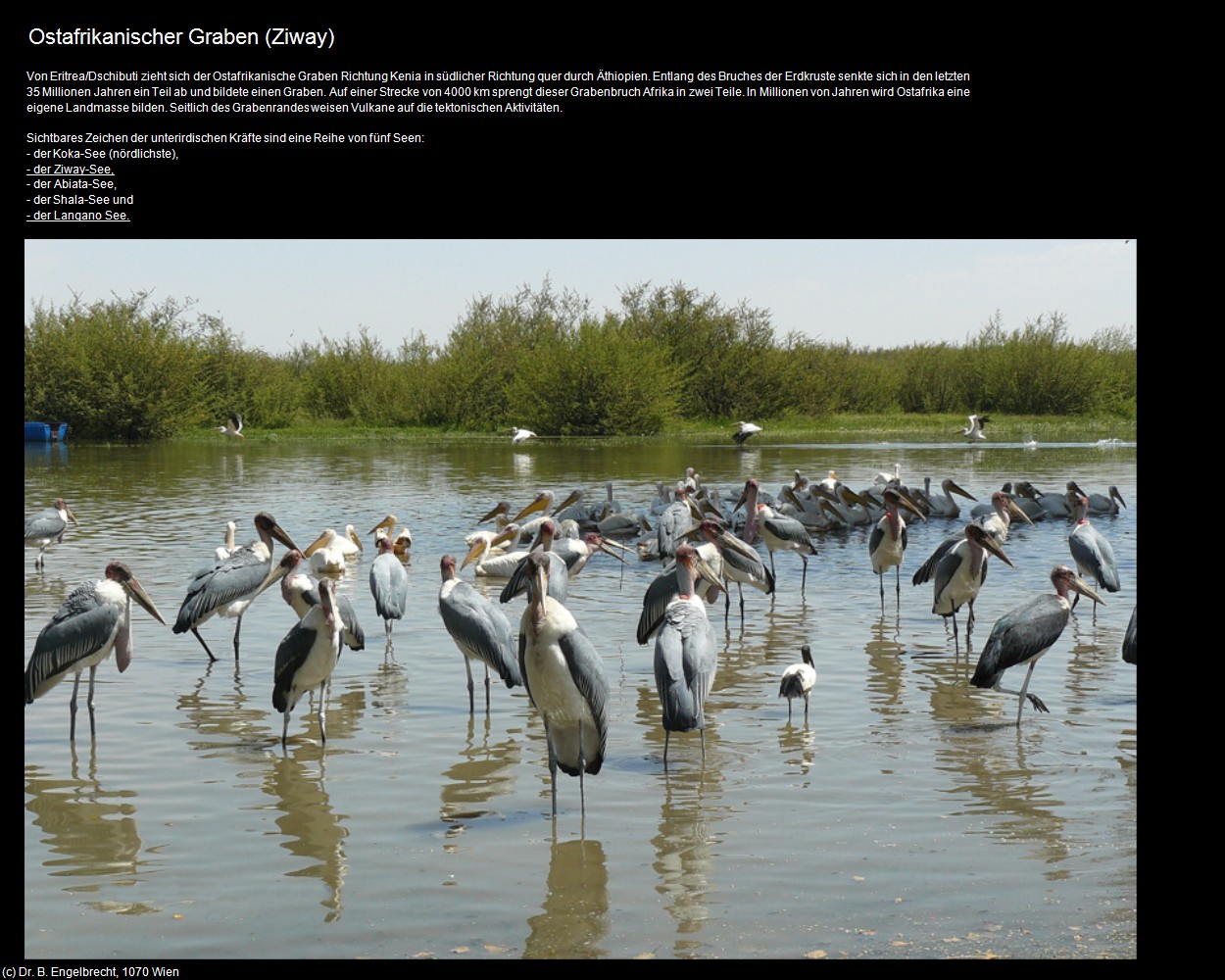 Ostafrikanische Graben  (Ziway) in &Auml;thiopien(c)B.Engelbrecht