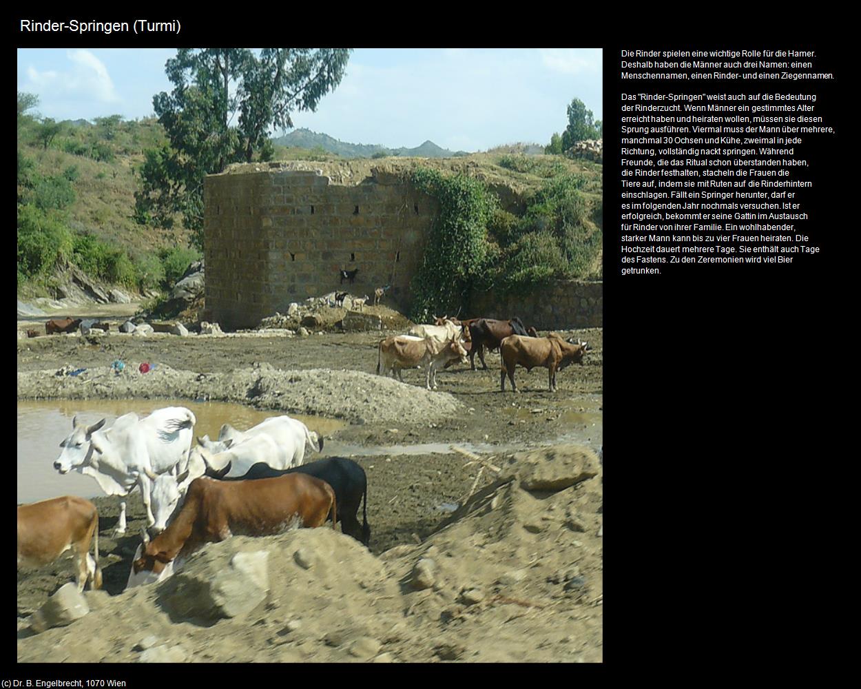 Rinder-Springen  (Turmi) in Äthiopien