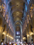 Cathédrale Notre Dame de Paris II (Paris (FR-IDF))