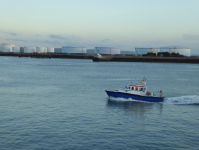 Containerhafen mit Raffinerien (Le Havre (FR-NOR))