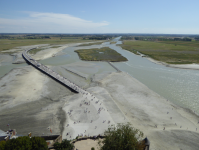 Wattwanderung (Mont-Saint-Michel (FR-NOR))