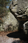 Wald von Fontainebleau (Fontainebleau)  (Fontainebleau (FR-IDF))