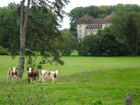 Chateau de Roche-sur-Loue (Arc-et-Senans (FR-BFC))