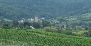 Weinbaugebiet Jura (Arbois (FR-BFC))