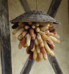 Ecomuseum Maison de Pays en Bresse (Saint Etienne du Bois (FR-ARA))