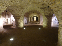 Musée archeologique II (Dijon (FR-BFC))