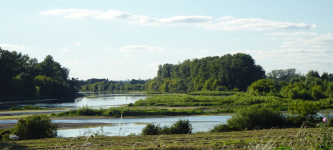 Entwicklung der Landschaft der Sologne (Romorantin (FR-CVL))