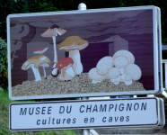 Musee du Champignon (Saumur (FR-PDL))