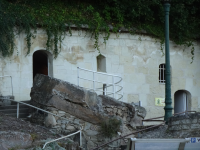 Musee du Champignon (Saumur (FR-PDL))