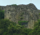 Chateau de Tiffauges (Tiffauges (FR-PDL))