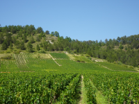 Chateau de Melin (Auxey-Duresses (FR-BFC))