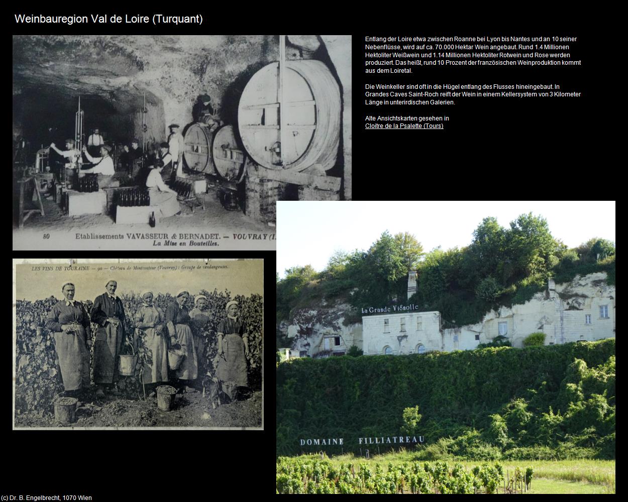 Weinbauregion Val de Loire  (Turquant (FR-CVL)) in Kulturatlas-FRANKREICH(c)B.Engelbrecht