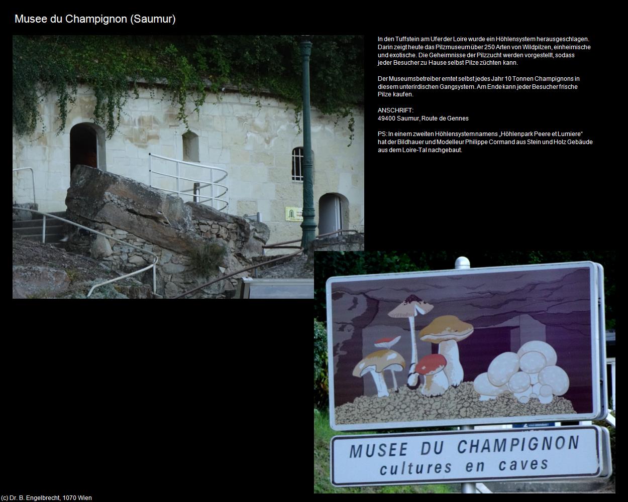 Musee du Champignon (Saumur (FR-PDL)) in Kulturatlas-FRANKREICH