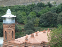 Botanischer Garten  (Tbilisi/Tiflis)