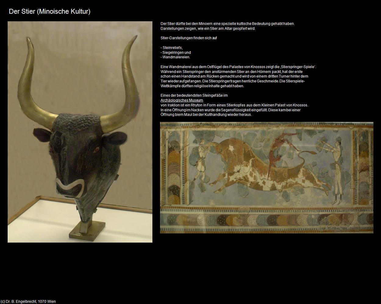 Der Stier (+Minosche Kultur) in KRETA und SANTORIN(c)B.Engelbrecht