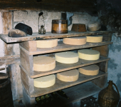 Lagerung (Käse)