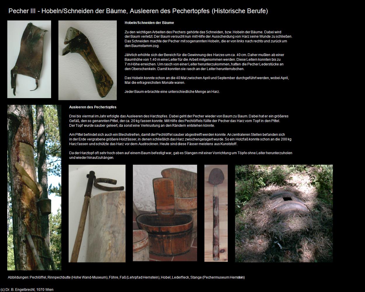 Pecher III - Hobeln der Bäume, Ausleeren des Pechertopfes (Pecher) in Leben-und-Arbeiten-einst