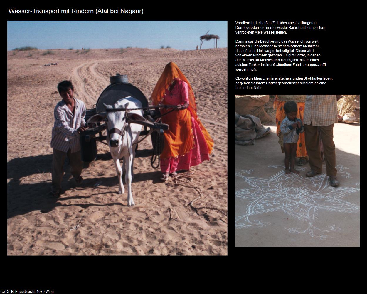 Wasser-Transport (Alal) (Nagaur) in Rajasthan - das Land der Könige