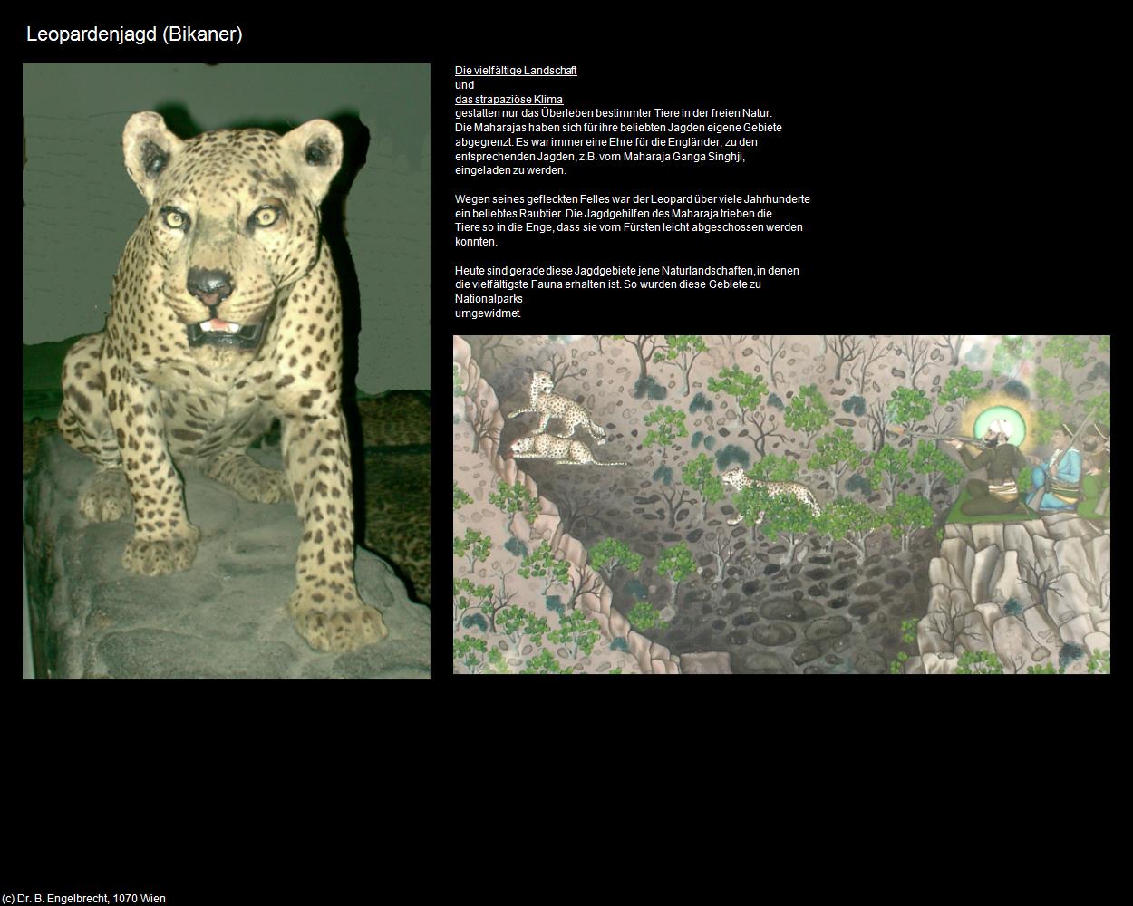 Leopardenjagd (Bikaner) in Rajasthan - das Land der Könige(c)B.Engelbrecht