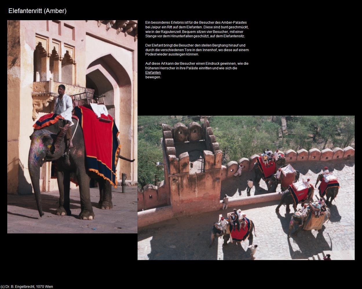 Elefantenritt (Amer bei Jaipur) in Rajasthan - das Land der Könige(c)B.Engelbrecht