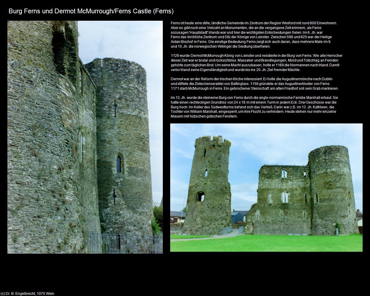 Burg Ferns und Dermot McMurrough (Ferns) in IRLAND-die grüne Insel