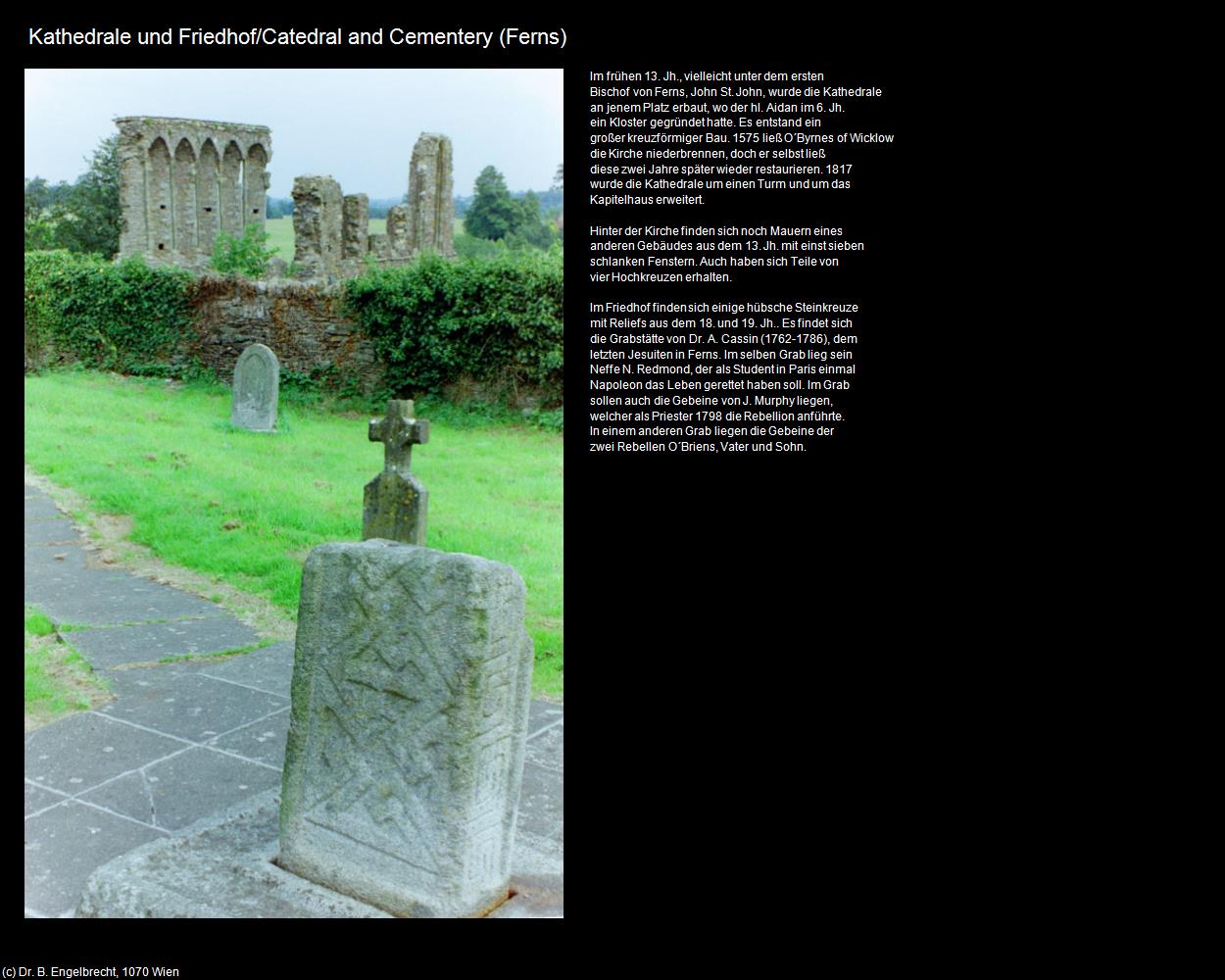 Kathedrale St. Edan und Friedhof (Ferns) in IRLAND-die grüne Insel