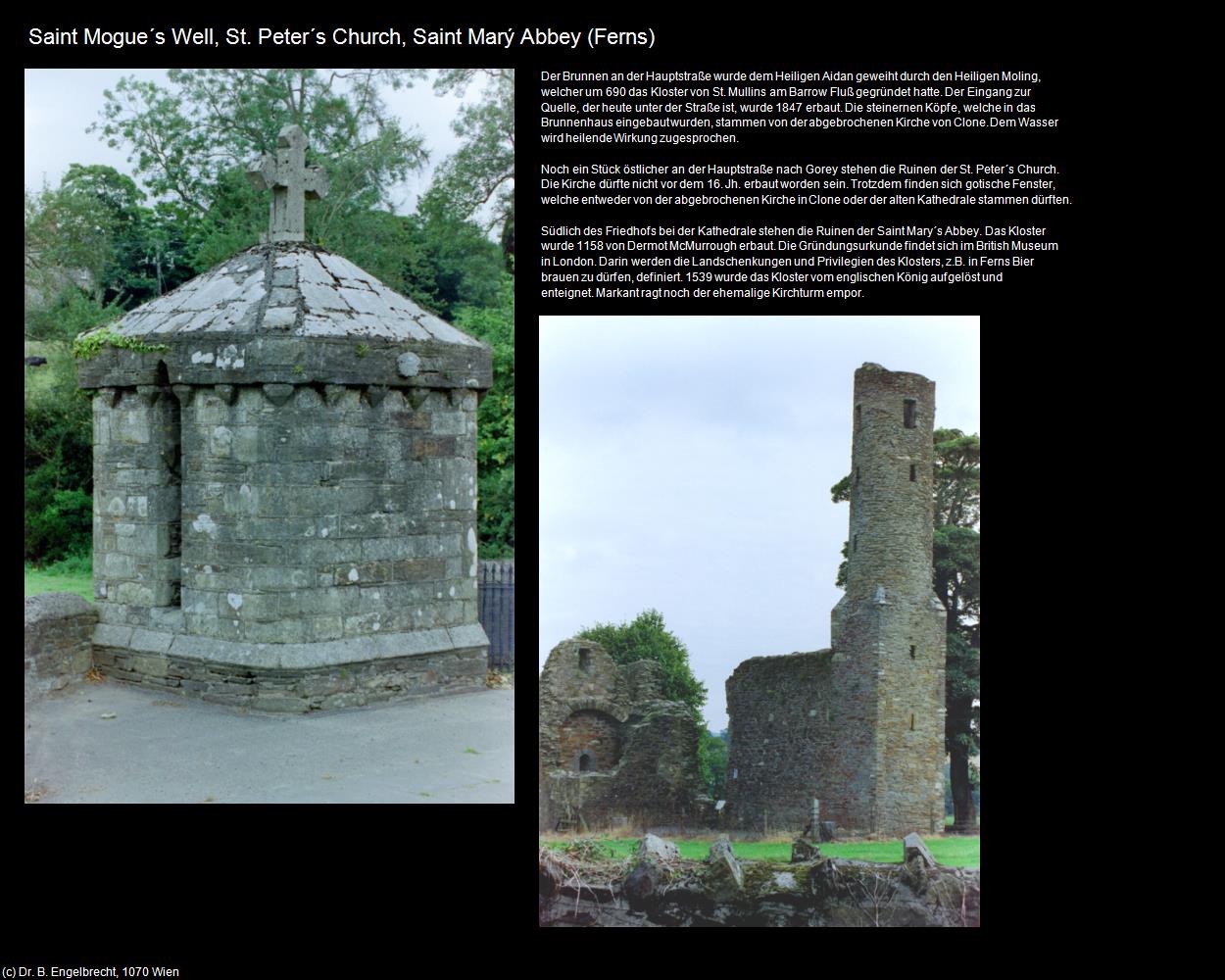 St. Mogul‘s Quelle-St. Mary‘s Abbey (Ferns) in IRLAND-die grüne Insel