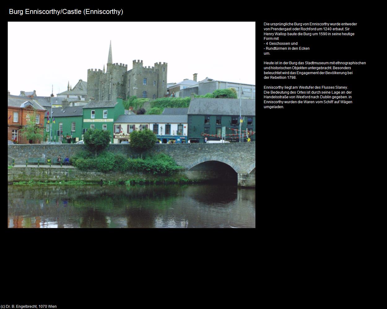 Burg Enniscorthy (Enniscorthy) in IRLAND-die grüne Insel