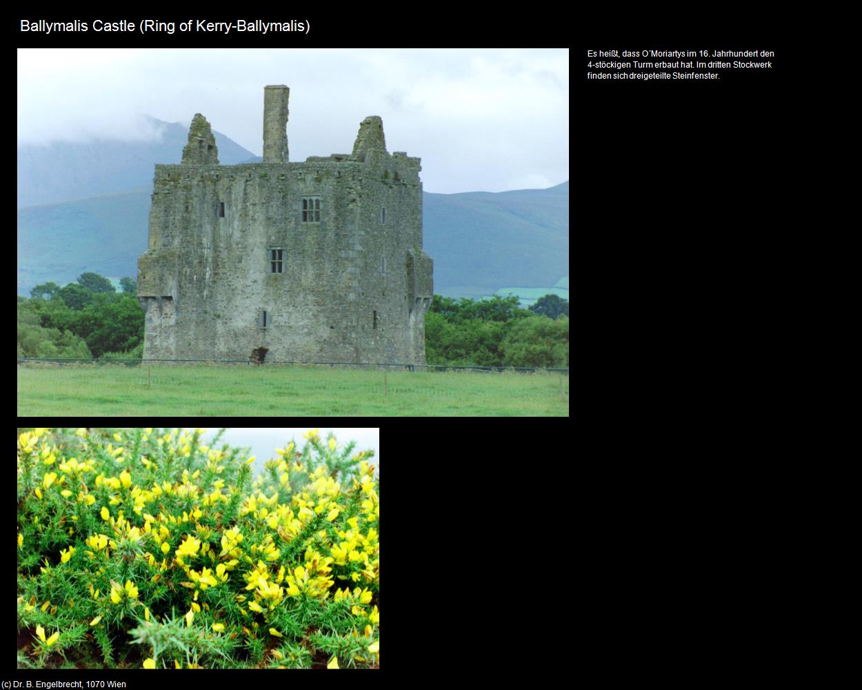 Baliymalis Castle (Ballymalis) (Ring of Kerry) in IRLAND-die grüne Insel