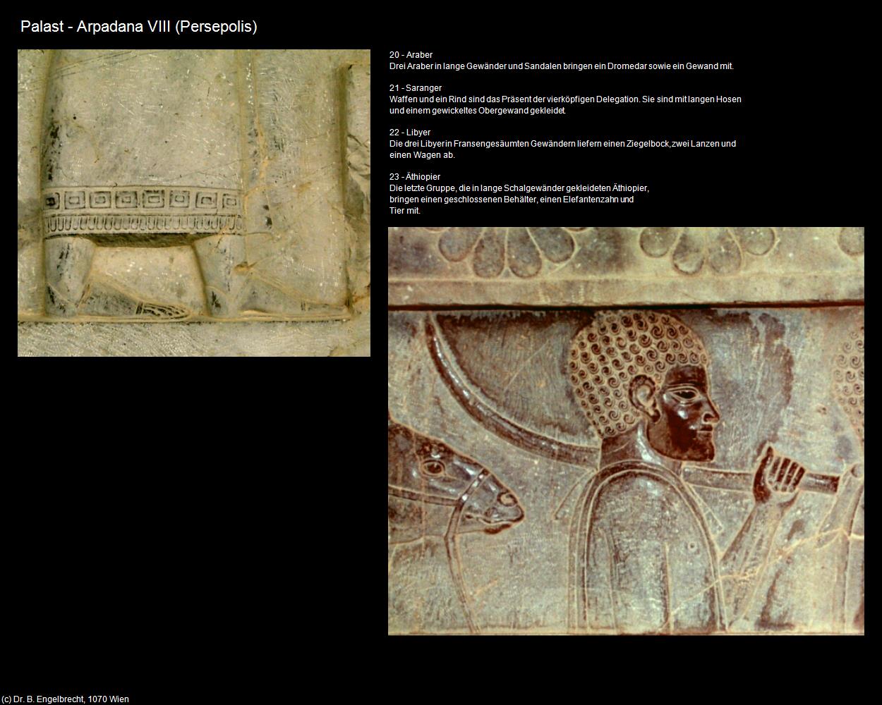 Palast - Arpadana VIII (Persepolis) in Iran