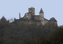 Burg Bourscheid (Bourscheid/Burscheid)