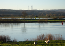 Schlacht bei Remich (Remich/Reimech)