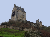 Burg Fels (Larochette/Fels)