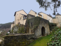 Burg Bourglinster (Burglinster)  (Junglinster)