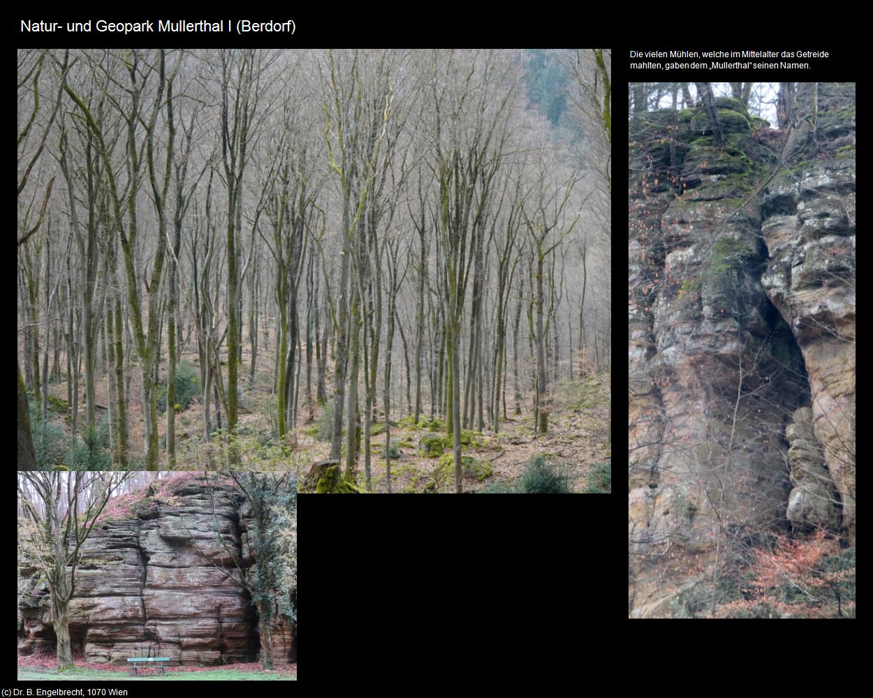 Natur- und Geopark Mullerthal I (Berdorf) in LUXEMBURG