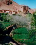 Dades-Tal (Ait Arbi)