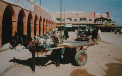 Lehmdorf am Oued Todgha (Tinejdad)