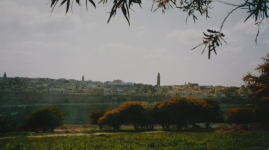 Bab el Khemis (Meknes)