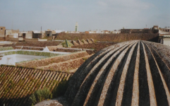 Große Moschee (Meknes)