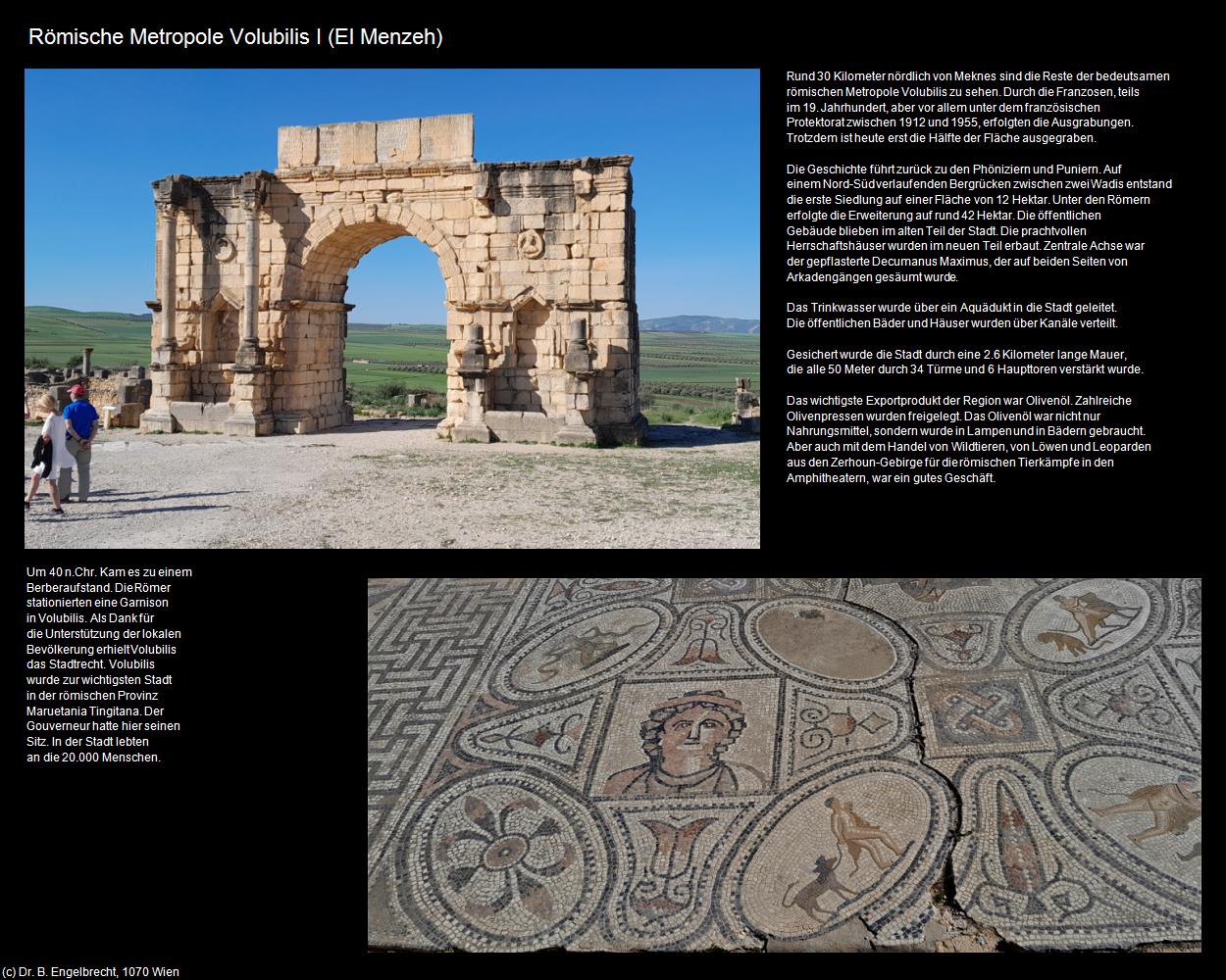 Römische Metropole Volubilis I (El Menzeh) in Kulturatlas-MAROKKO