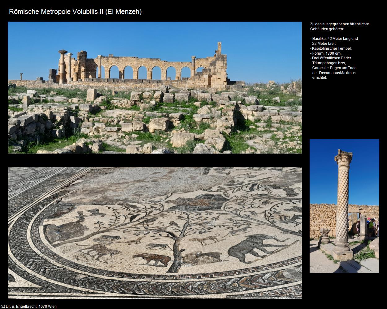 Römische Metropole Volubilis II (El Menzeh) in Kulturatlas-MAROKKO