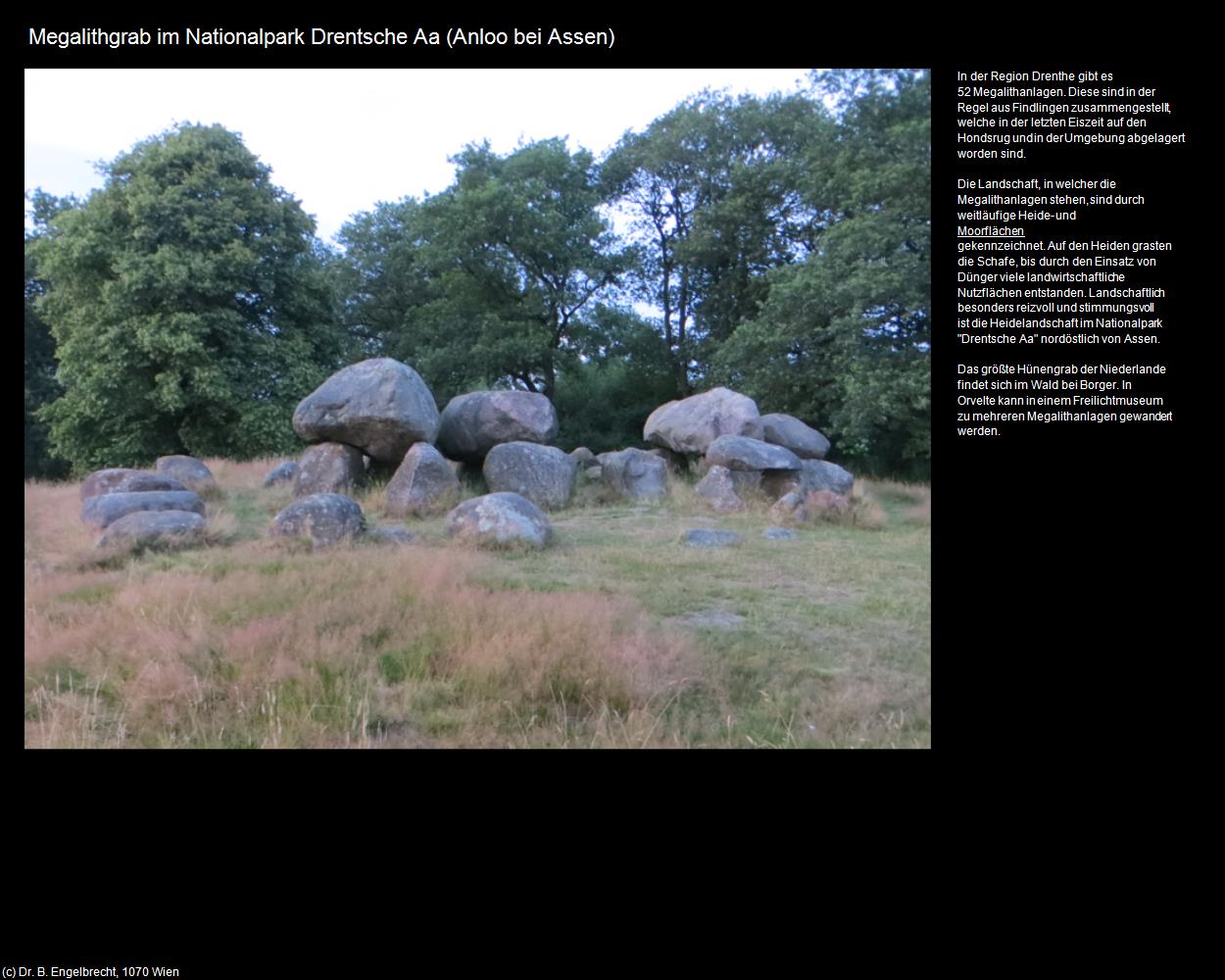 Megalithgrab im Nationalpark Drentsche Aa (Gasteren) (Anloo bei Assen) in Kulturatlas-NIEDERLANDE(c)B.Engelbrecht