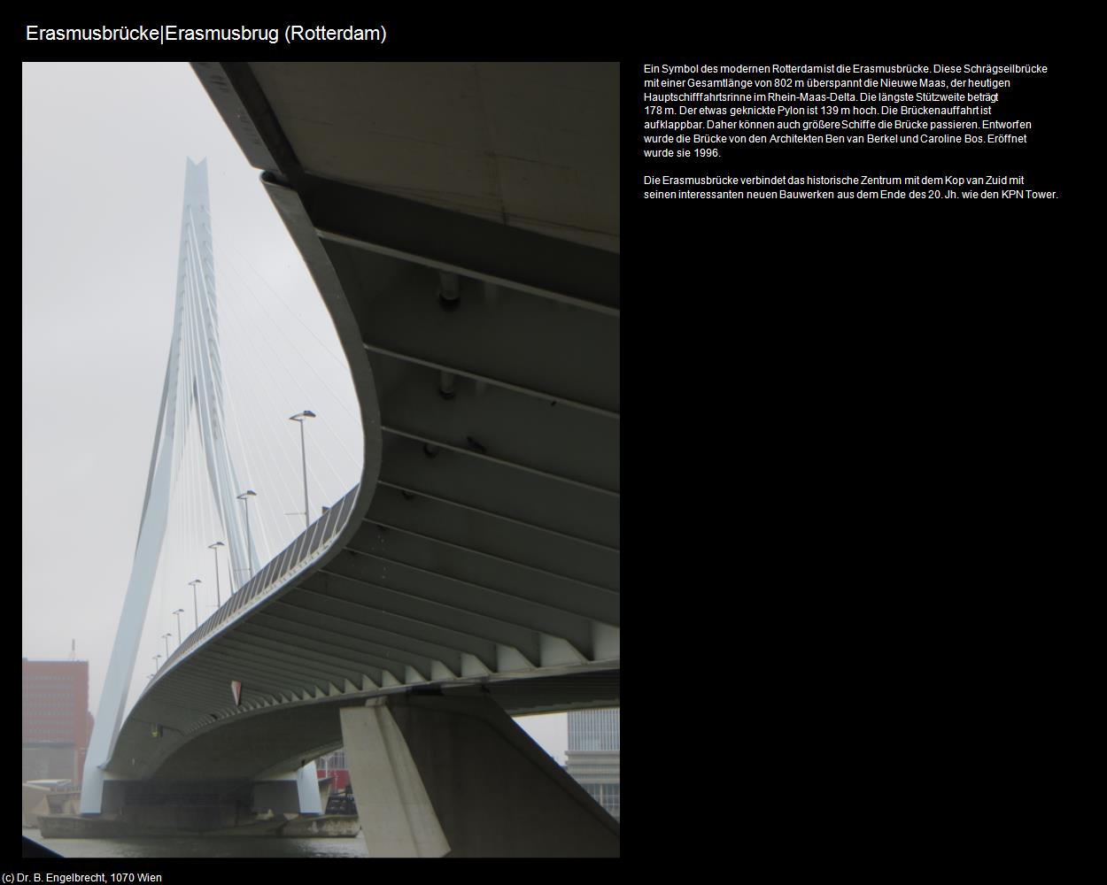 Erasmusbrücke|Erasmusbrug (Rotterdam) in Kulturatlas-NIEDERLANDE