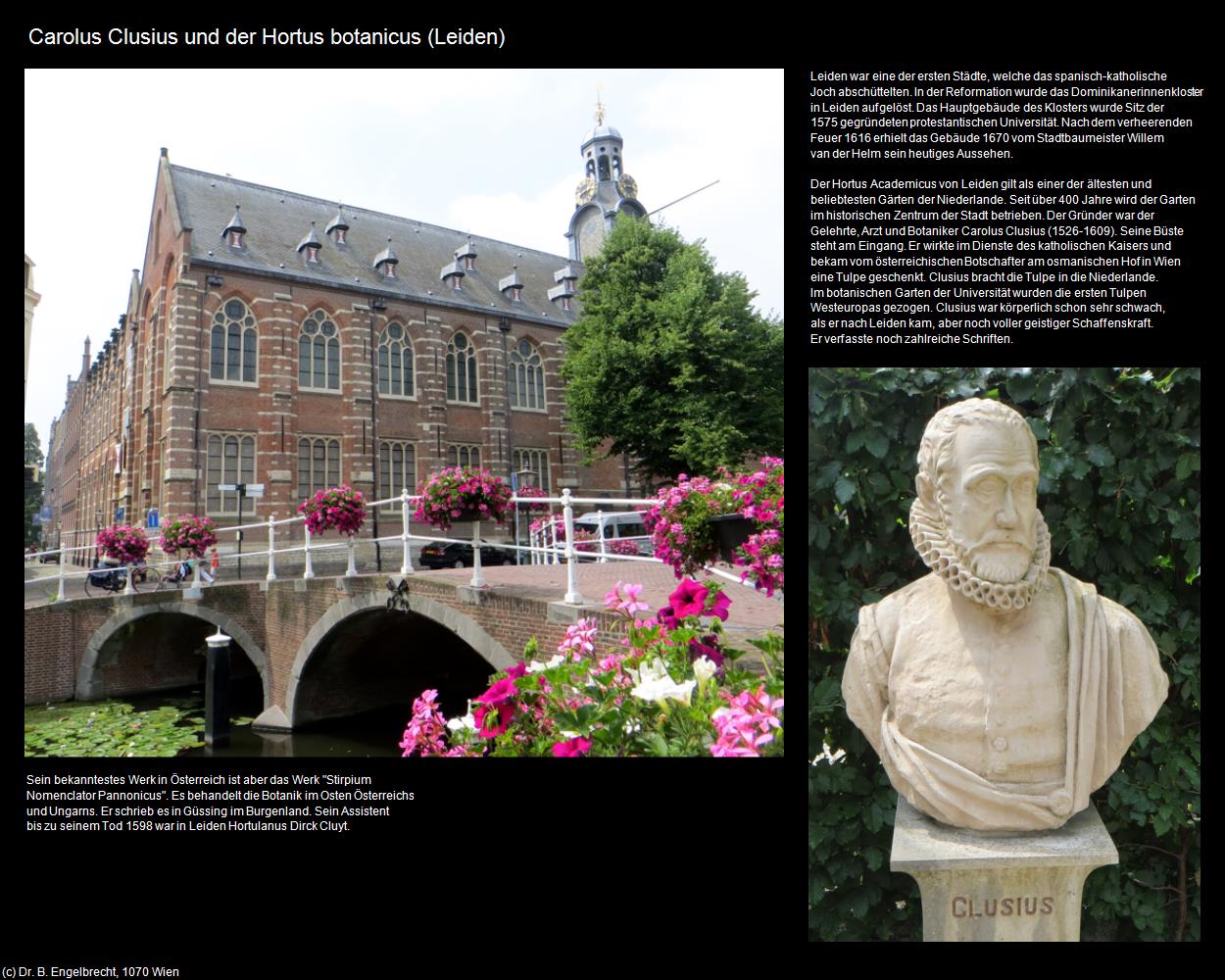 Carolus Clusius und der Hortus botanicus  (Leiden) in Kulturatlas-NIEDERLANDE