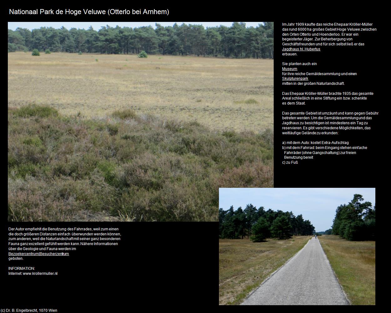 Nationaal Park de Hoge Veluwe (Otterlo bei Arnhem) in Kulturatlas-NIEDERLANDE(c)B.Engelbrecht