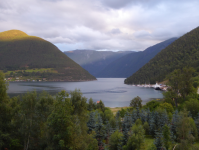 Sognefjord (Kaupanger) (Sogndal)