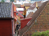 Bryggen  Höfe (Bergen)